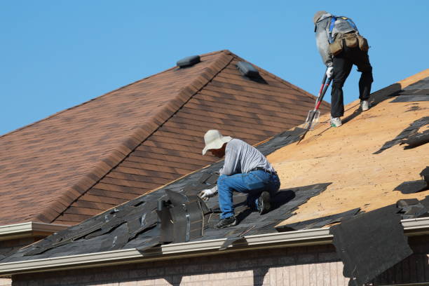 Best Gutter Installation and Repair  in Fountain Hill, PA