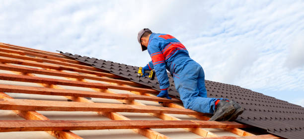 Best Roof Moss and Algae Removal  in Fountain Hill, PA